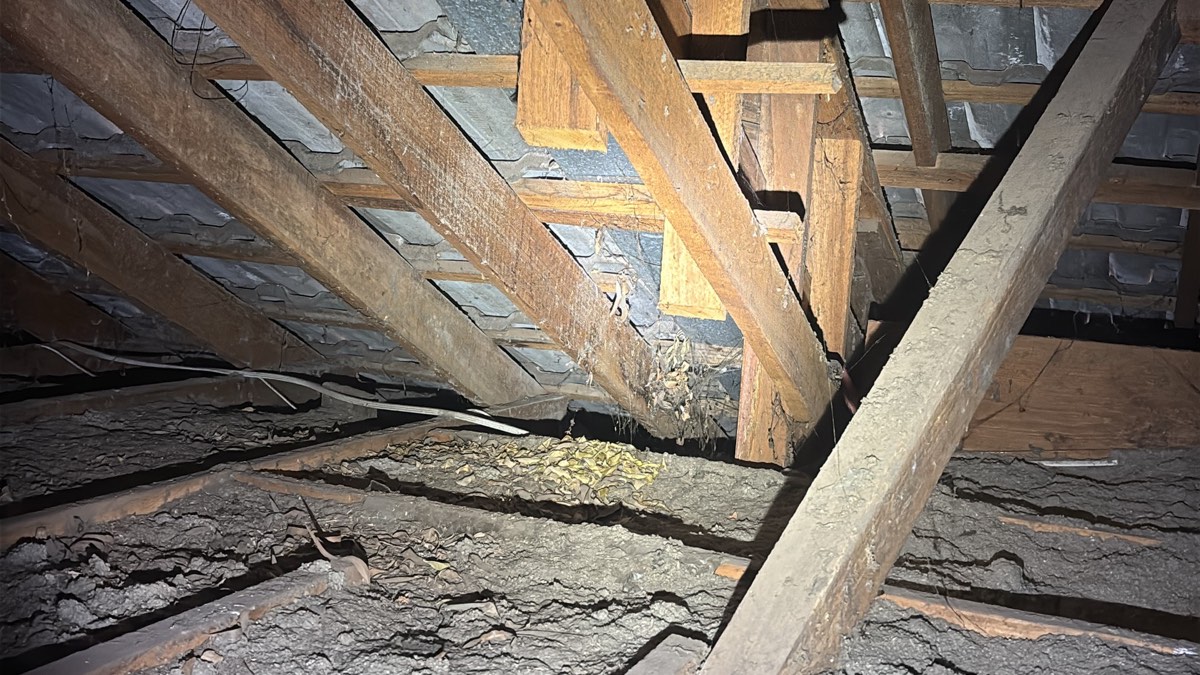 Evidence of water intrusion, recorded on a pre-purchase inspection in Craigieburn